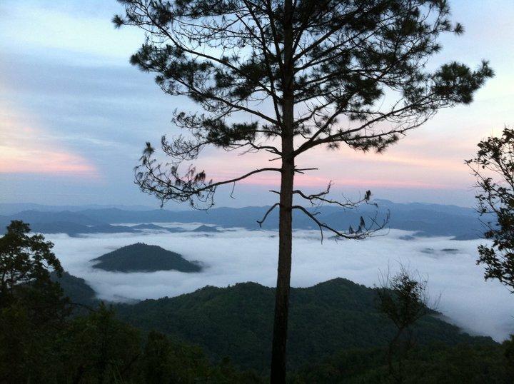 Phu Mork Dao Resort Pong Yaeng Exterior photo